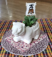 今年は寅年ですね